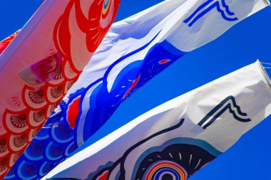 Tokyo gündüz güneşli parkta sazan streamer