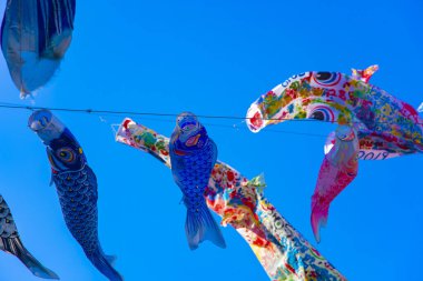 Tokyo gündüz güneşli parkta sazan streamer