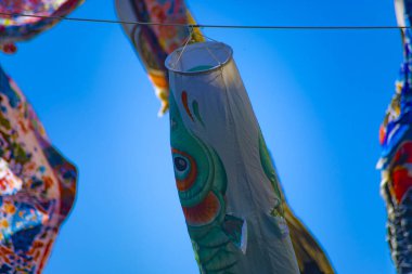 Tokyo gündüz güneşli parkta sazan streamer