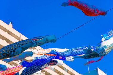 Tokyo gündüz güneşli parkta sazan streamer