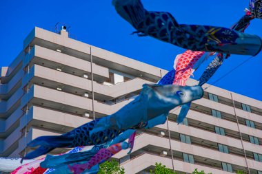 Tokyo gündüz güneşli parkta sazan streamer