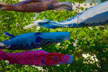 Tokyo gündüz güneşli parkta sazan streamer