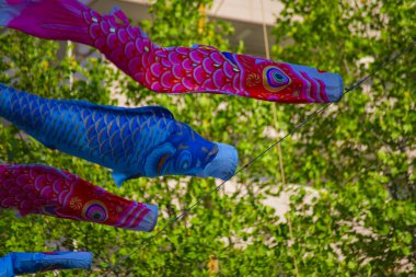 Tokyo gündüz güneşli parkta sazan streamer