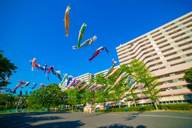 Tokyo gündüz güneşli parkta sazan streamer