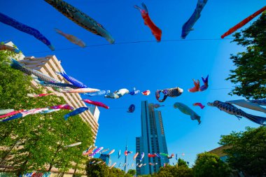 Tokyo gündüz güneşli parkta sazan streamer