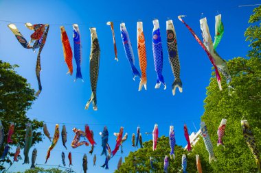 Tokyo gündüz güneşli parkta sazan streamer