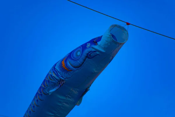 Carp streamer at the park in Tokyo daytime sunny — Stock Photo, Image