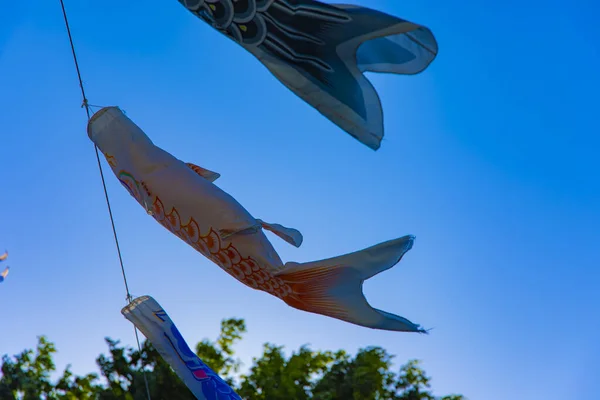 Karp streamer på parken i Tokyo dagtid Sunny — Stockfoto