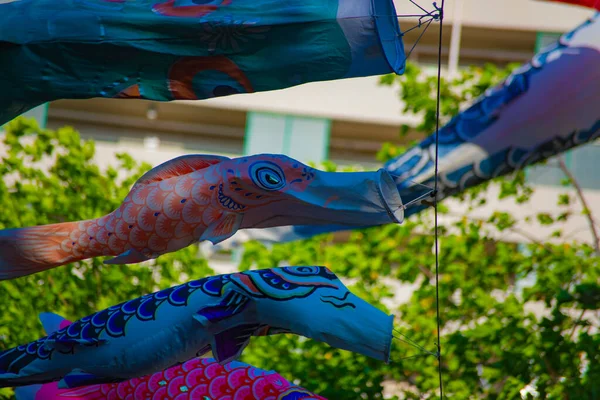 Tokyo gündüz güneşli parkta sazan streamer