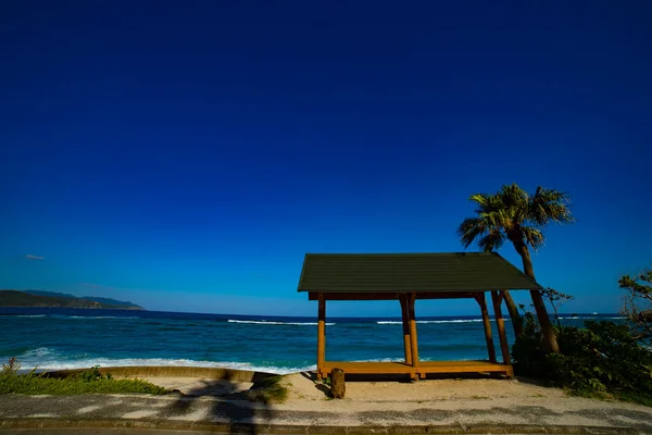 Palm tree and pavilion at Ohama beach in Amami oshima Kagoshima copyspave — Stock Photo, Image