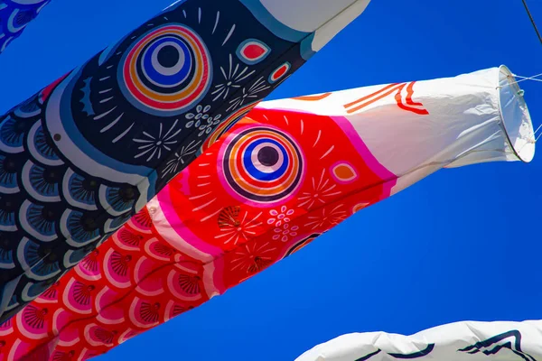 Karpfenschlange im Park in Tokio tagsüber sonnig lizenzfreie Stockfotos