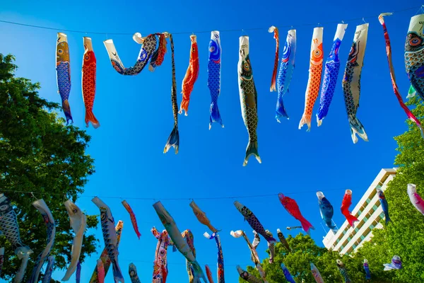 Karpfenschlange im Park in Tokio tagsüber sonnig Stockbild