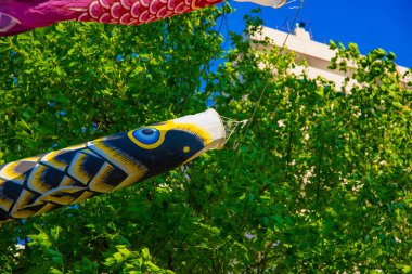 Tokyo gündüz güneşli parkta sazan streamer