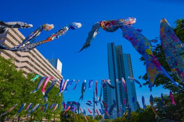 Tokyo gündüz güneşli parkta sazan streamer