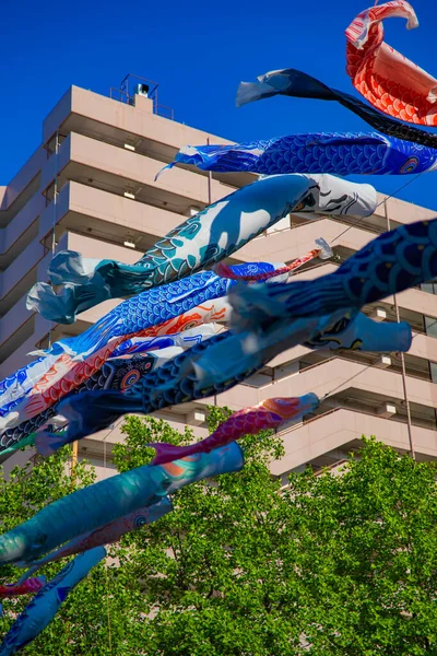 Tokyo gündüz güneşli parkta sazan streamer