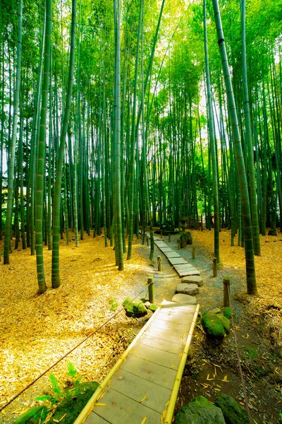 Bambu ormanı geleneksel bekçide. — Stok fotoğraf