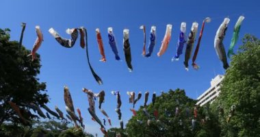 Parkta sazan desenli, gündüz güneşli, geniş açılı. Sumida Bölgesi Tokyo - 05.08.2019 kamera: Canon EOS 5D mark4