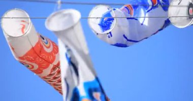Tokyo gündüz güneşli parkta sazan streamer