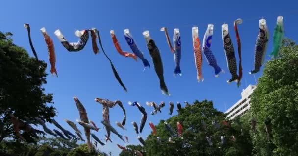 Karp streamer på parken dagtid soligt bred skott. Sumida district Tokyo Japan - 05.08.2019 kamera: Canon EOS 5D mark4 — Stockvideo