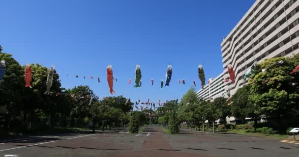 Carpa serpenteante en el parque de tiro amplio soleado durante el día. Distrito de Sumida Tokio Japón - 05.08.2019 cámara: Canon EOS 5D mark4 — Vídeos de Stock