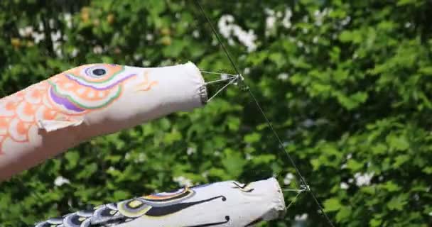Karpiowe Streamer w parku w Tokio w ciągu dnia — Wideo stockowe
