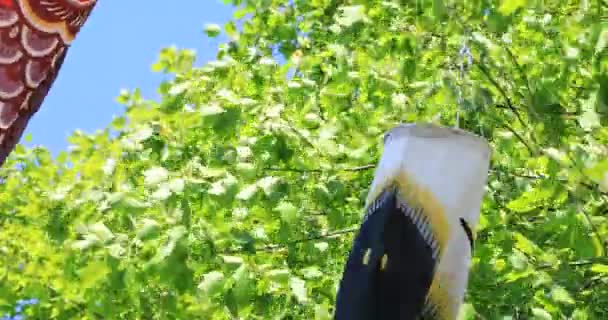 Streamer de carpa no parque em Tóquio ensolarado durante o dia — Vídeo de Stock