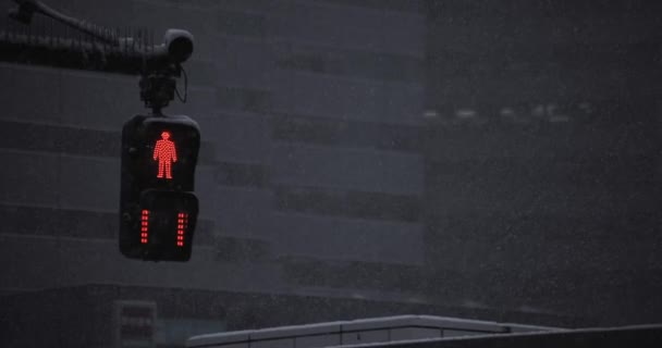 Ampel auf der städtischen Straße in Shinjuku Tokio eingeschneit — Stockvideo