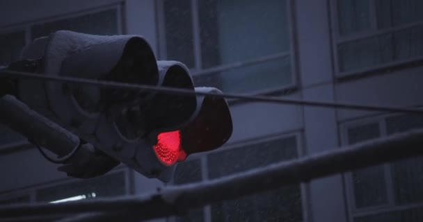 Ampel auf der städtischen Straße in Shinjuku Tokio eingeschneit — Stockvideo
