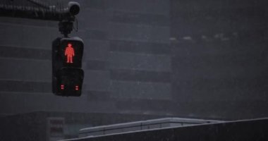 Shinjuku Tokyo 'da trafik ışıkları kar yağıyordu.