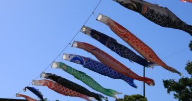 Tokyo gündüz güneşli parkta sazan streamer