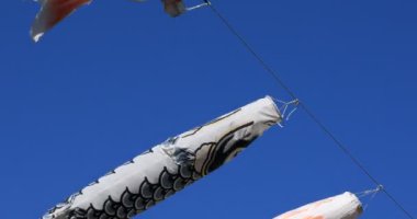 Tokyo gündüz güneşli parkta sazan streamer