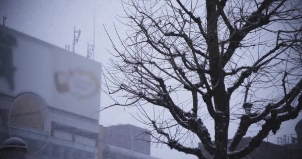 Eine Zeitlupe des Stadtbildes in Shinjuku Tokio schneit — Stockvideo