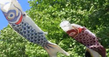 Tokyo gündüz güneşli parkta sazan streamer
