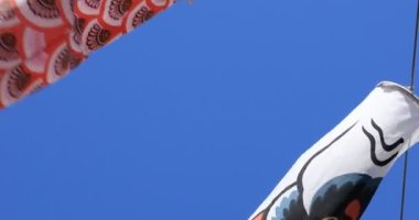 Tokyo gündüz güneşli parkta sazan streamer