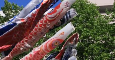 Tokyo gündüz güneşli parkta sazan streamer