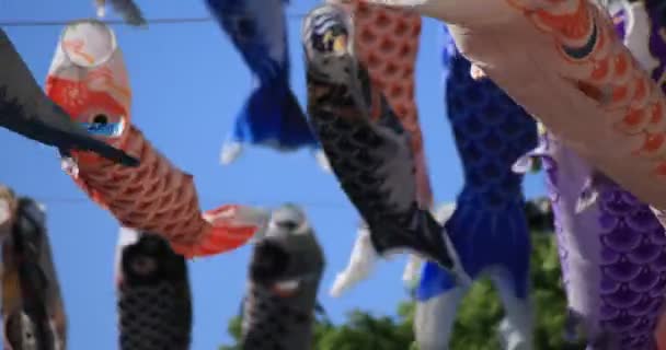 Carpe streamer au parc de Tokyo ensoleillé de jour — Video