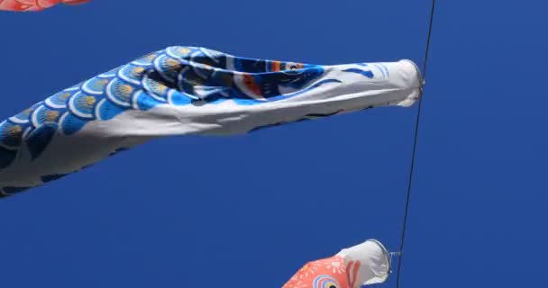 Carp streamer at the park in Tokyo daytime sunny — Stock Video