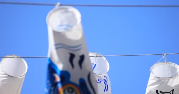 Carp Streamer di taman di siang hari Tokyo cerah — Stok Video