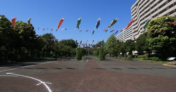 Streamer de carpa no parque em Tóquio ensolarado durante o dia — Vídeo de Stock