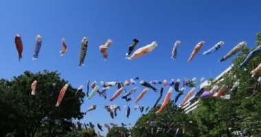 Tokyo gündüz güneşli parkta sazan streamer