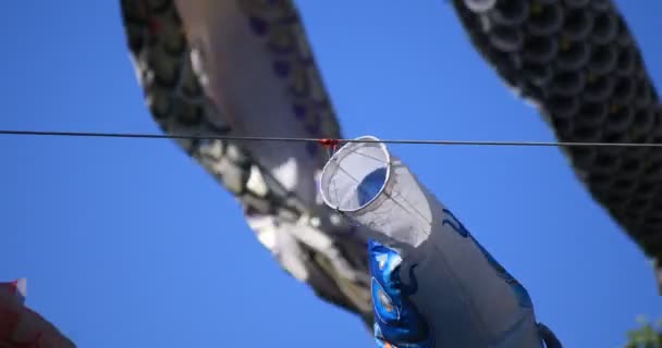 CARP streamer in het Park in Tokio overdag zonnig — Stockvideo