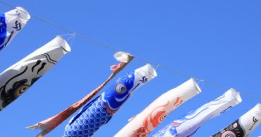 Tokyo gündüz güneşli parkta sazan streamer