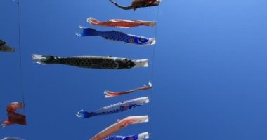 Tokyo gündüz güneşli parkta sazan streamer