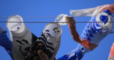 Tokyo gündüz güneşli parkta sazan streamer