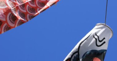 Tokyo gündüz güneşli parkta sazan streamer