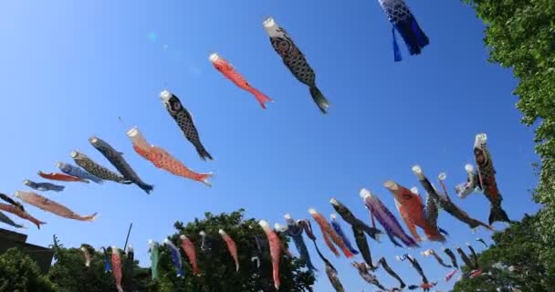 Carp streamer at the park in Tokyo daytime sunny — Stock Video