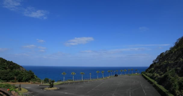 鹿児島県奄美大島の大浜ビーチのヤシの木 — ストック動画