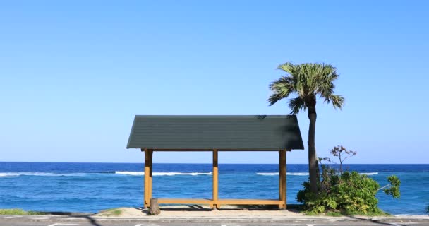 奄美大島鹿児島の大浜ビーチのヤシの木とパビリオン — ストック動画