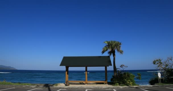 棕榈树和亭子在大美岛鹿儿岛复制岛大美海滩 — 图库视频影像