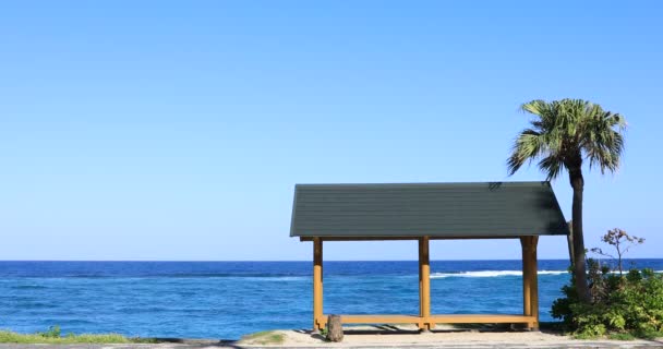 奄美大島鹿児島の大浜ビーチのヤシの木とパビリオン — ストック動画